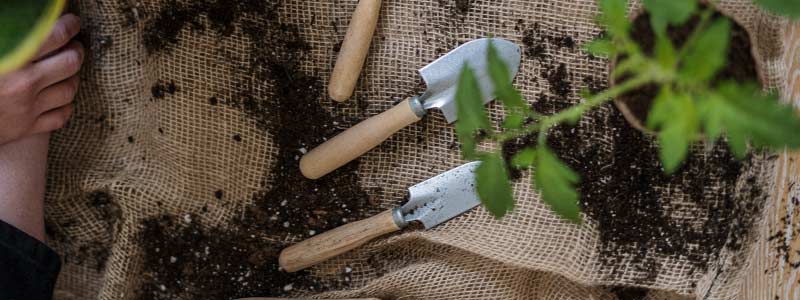 Tuinonderhoud: tips voor een netjes en verzorgde tuin